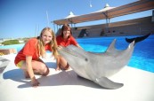 Delfinarium Malta Sliema