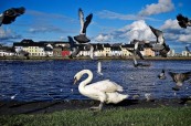 Galway je menší irské město, velice oblíbené u studentů angličtiny, Atlantic Language