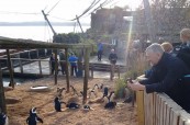 Studenti angličtiny na exkurzi v Living Coast, TIS Torquay